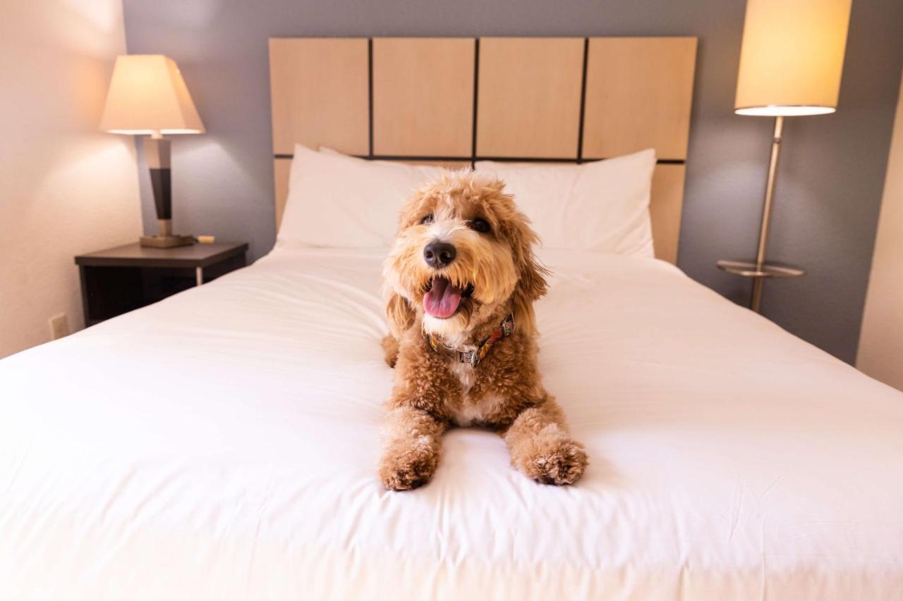 Sonesta Simply Suites Charlotte University Eksteriør bilde